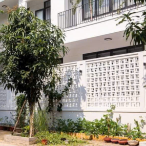 HÀNG RÀO BÔNG GIÓ MỸ THUẬT